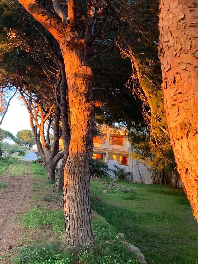 Bed & Breakfast Mediterraneo Triscina Italië
